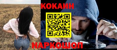 спайс Владимир