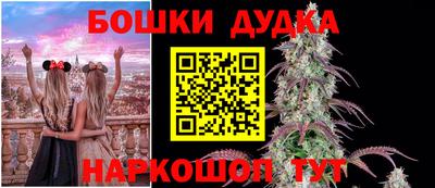 спайс Владимир