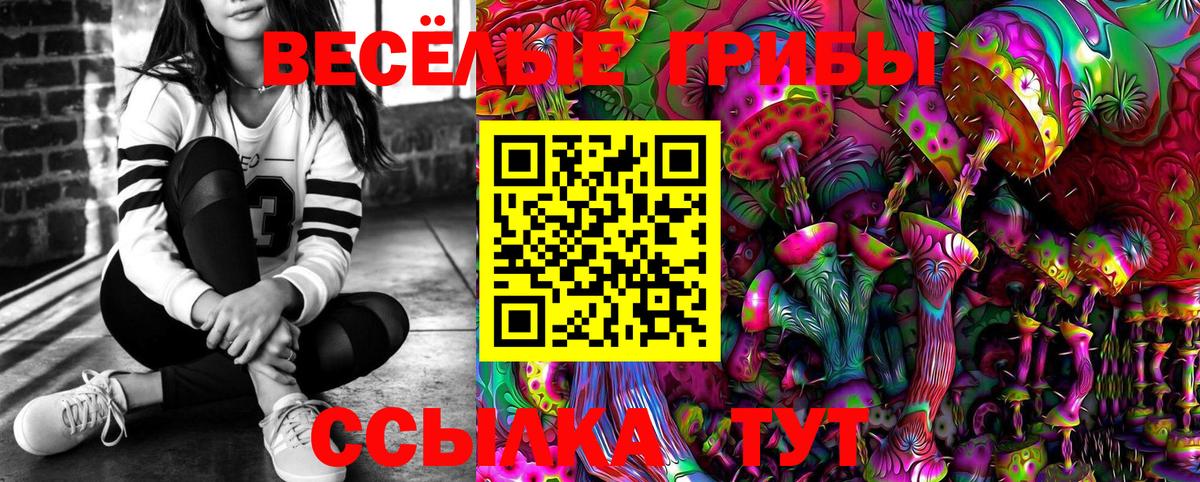 Междуреченск  Галлюциногенные грибы MAGIC MUSHROOMS  Вход с VPN 