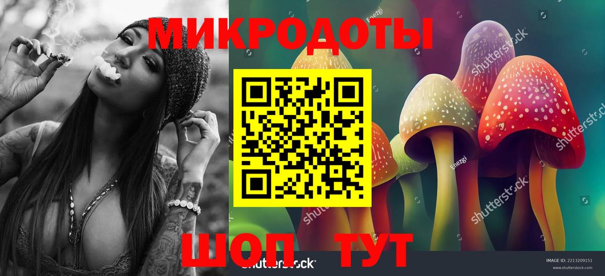 Псилоцибиновые грибы прущие грибы Междуреченск